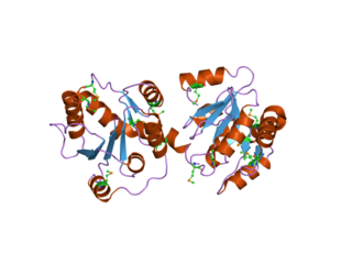 <span class="mw-page-title-main">UGT2B7</span> Protein-coding gene in the species Homo sapiens