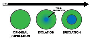 <span class="mw-page-title-main">Sympatric speciation</span> Evolution of a new species from an ancestor in the same location