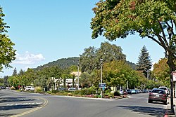 Skyline of Yountville