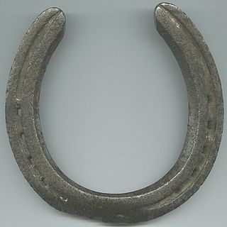 <span class="mw-page-title-main">Horseshoe</span> Device attached to a horses hoof to protect it from wear