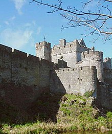 un cours d'eau. Les murs sont surmontés d'un chemin de ronde avec créneaux, et plusieurs tours sont visibles ainsi que le donjon.