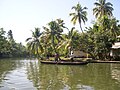 Kerala backwaters