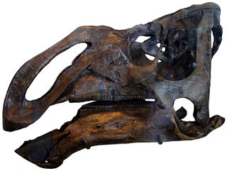 <i>Kritosaurus</i> Extinct genus of dinosaurs