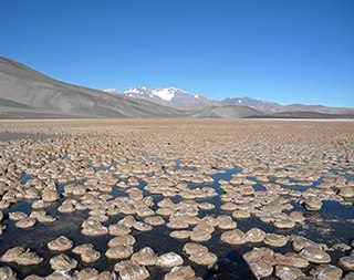 <span class="mw-page-title-main">Laguna Negra, Catamarca</span> Lake in Catamarca Province, Argentina