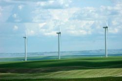 Wind farm west of Magrath.