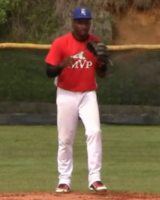 <span class="mw-page-title-main">Orelvis Martínez</span> Dominican baseball player (born 2001)