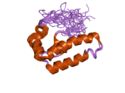 PDB 2ctr EBI.png