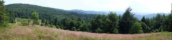 Hala Pisana i panorama widokowa