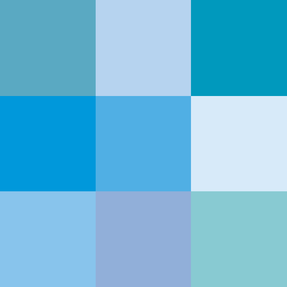 <span class="mw-page-title-main">Sky blue</span> Color