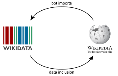 Wikidata - Wikipedia relationship.