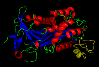 <span class="mw-page-title-main">Vitronectin</span> Protein