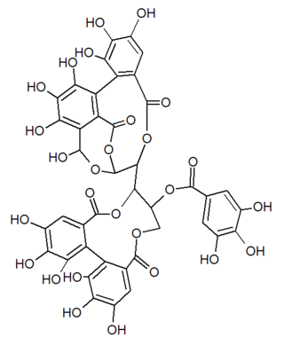 <span class="mw-page-title-main">Casuarinin</span> Chemical compound