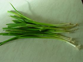 Spring onion