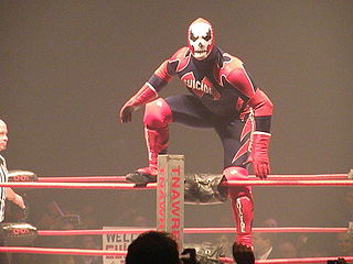 <span class="mw-page-title-main">Suicide (wrestling)</span> Professional wrestling gimmick