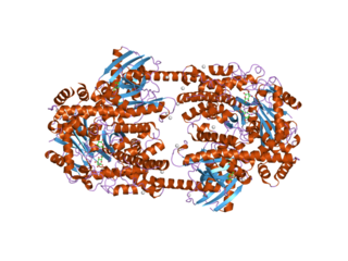 <span class="mw-page-title-main">HK2</span>