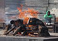 Feuerbestattung Tags: Pashupatinath Temple Pashupatinath Hindu Cremation