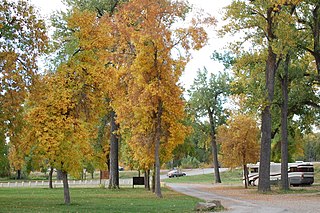 <span class="mw-page-title-main">Laurel, Montana</span> City in Montana, United States