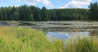 <span class="mw-page-title-main">Wendell State Forest</span> Protected area in Massachusetts, United States