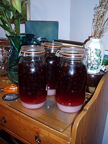 Homemade sloe gin in preparation Sloe Gin.jpg