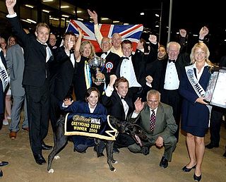 Greyhound racing in the United Kingdom