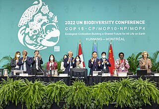 <span class="mw-page-title-main">Kunming-Montreal Global Biodiversity Framework</span> International agreement on conservation of biodiversity