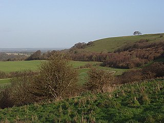 Ladle Hill Hill in Hampshire, England