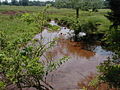 Branch of Middlebush Brook mentioned above running through a dairy farm