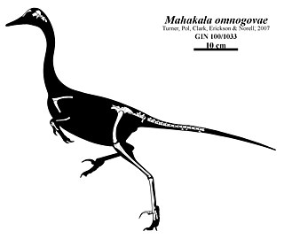 <span class="mw-page-title-main">Mahakala omnogovae</span> Extinct species of dinosaur