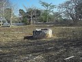 Misnebalam, Yucatán.