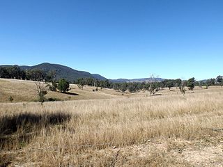 <span class="mw-page-title-main">Glenfern, Queensland</span> Suburb of Somerset Region, Queensland, Australia