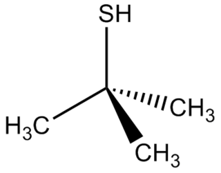 <i>tert</i>-Butylthiol Chemical compound