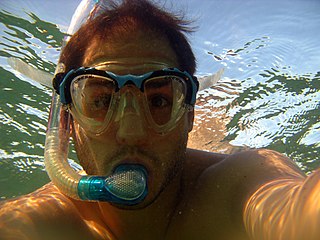 <span class="mw-page-title-main">Snorkel (swimming)</span> Tube for breathing face down at the surface of the water