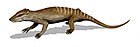 Yanoconodon BW.jpg