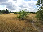 Woolwich Common