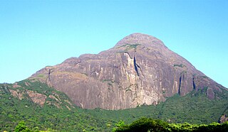 <span class="mw-page-title-main">Agastya Mala</span> Mountain in southern India