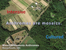 Anthromes are mosaics of intensively used and cultured lands Anthromes are mosaics.png