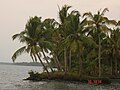 Ashtamudi Lake