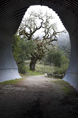 <span class="mw-page-title-main">Bay Area Ridge Trail</span>