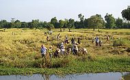 Image illustrative de l’article Économie du Cambodge