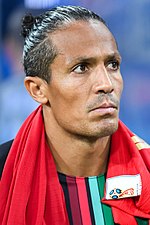 Vignette pour Bruno Alves