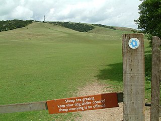 <span class="mw-page-title-main">East Hampshire AONB</span>