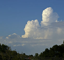 Cumulus congestus