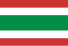 Vlag van Praag 3