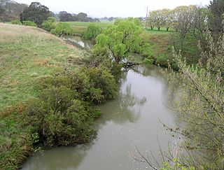 <span class="mw-page-title-main">Nowendoc River</span> River in Australia