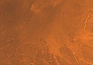 Image of the Amazonis Quadrangle (MC-8). The central part contains Amazonis Planitia and the eastern part includes the western flank of the largest known volcano in the Solar System, Olympus Mons. PIA00168-MC-8-AmazonisRegion-19980605.jpg