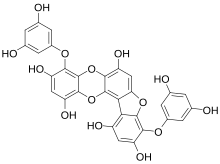 Chemical structure of phlorofucofuroeckol A