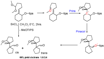 Scheme 8. Halo-Prins reaction Prins pinacol reaction.png