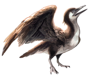 <span class="mw-page-title-main">Yanornithiformes</span> Extinct order of dinosaurs