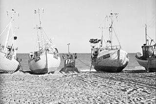 Fishing industry in Denmark