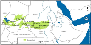 <span class="mw-page-title-main">Messiria people</span> Ethnic group in Chad